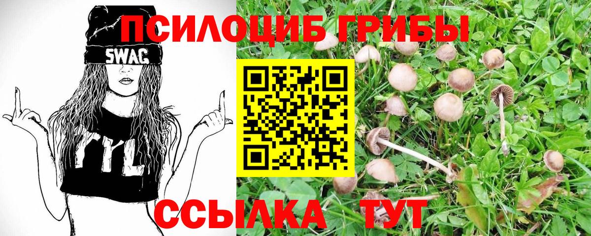 Галлюциногенные грибы прущие грибы  Вход с VPN  Нальчик 