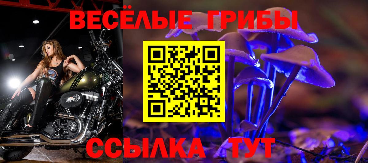 Галлюциногенные грибы Magic Shrooms Нальчик
